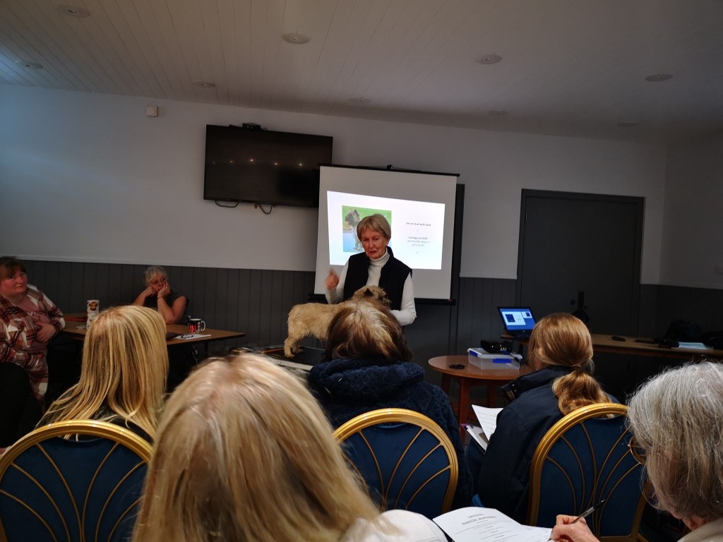 Breed Appreciation Talk